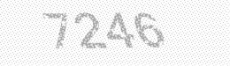Visual security code — type the characters shown in the image