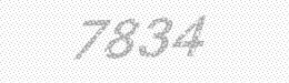 Visual security code — type the characters shown in the image