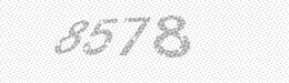 Visual security code — type the characters shown in the image